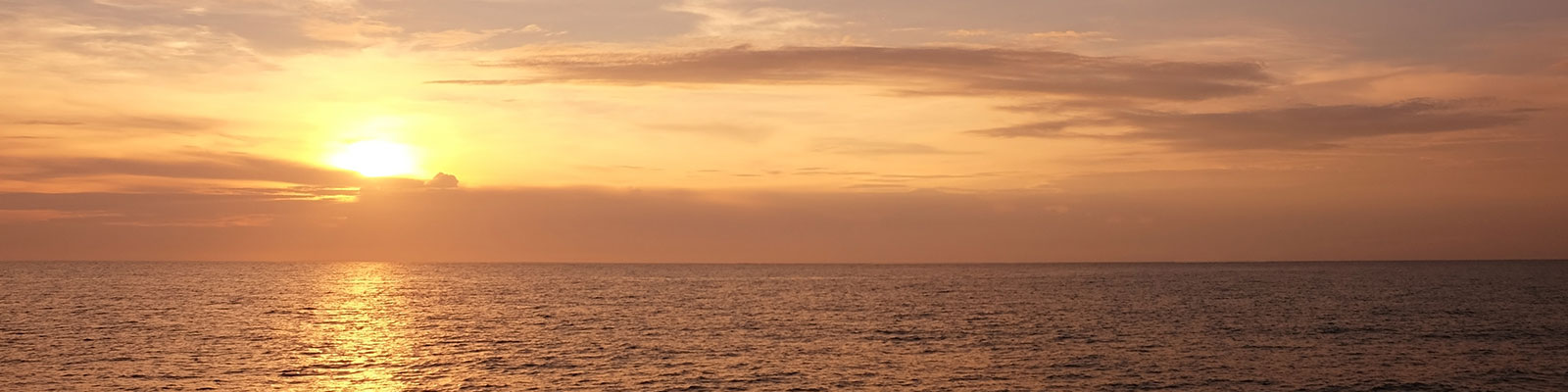 Project Chesapeake business image